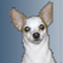 Mutkey's Avatar