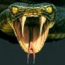 Rangerdawg75's Avatar